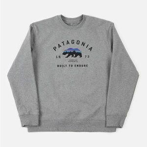 patagonia sweatshirt